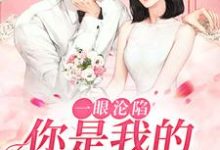 一眼沦陷:你是我的命中注定小说的免费阅读版本在哪里可以找到?-书评酱