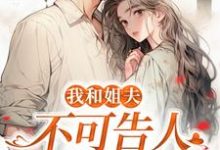 小说《我和姐夫不可告人的秘密》章节免费阅读-书评酱