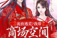 流放逃荒?我带商场空间活的舒服嘞小说,流放逃荒?我带商场空间活的舒服嘞林书棠段砚洲-书评酱