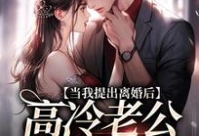 已完结小说《当我提出离婚后,高冷老公哭红了眼》章节在线阅读-书评酱