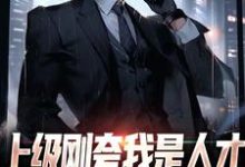 完结版《上级刚夸我是人才,后脚让我去打杂》免费阅读-书评酱