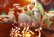 哪里能找到重生后,我嫁给了太子他太傅小说的最新更新和免费章节?-书评酱