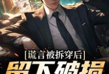 寻找能够免费阅读谎言被拆穿后，留下破损的婚姻小说的平台-书评酱