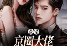 没错，京圈大佬就是没她不行小说最新章节在哪里可以读到？-书评酱