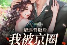 遭遇背叛后，我被京圈大佬捡回家沈星辰霍归之在线章节免费阅读-书评酱