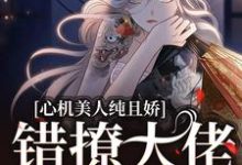 已完结小说《心机美人纯且娇,错撩大佬软了腰》章节在线阅读-书评酱