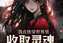 《我在快穿世界里,收取灵魂当报酬》小说章节在线试读,《我在快穿世界里,收取灵魂当报酬》最新章节目录-书评酱
