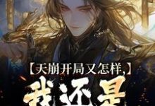 求天崩开局又怎样,我还是大唐的王小说免费资源-书评酱