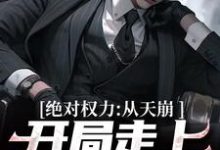 已完结小说《绝对权力:从天崩开局走上官途巅峰》在线章节阅读-书评酱