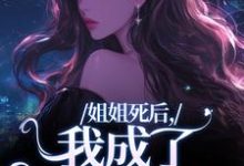 《姐姐死后,我成了争夺礼品》全集免费在线阅读(顾时念沈行洲)-书评酱