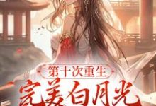 求推荐可以免费阅读第十次重生,完美白月光她装傻摆烂小说的网站-书评酱