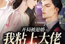 寻找能够免费阅读开局被退婚,我粘上大佬求做主小说的平台-书评酱