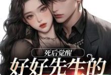 好好先生的真实面目小说的无弹窗阅读体验,寻找免费阅读网站-书评酱