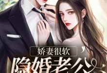 娇妻很软:隐婚老公已沦陷这本小说在哪里可以看?哪里有免费试读章节?-书评酱