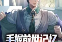 手握前世记忆，我在官场杀疯了小说全文阅读需要付费吗？寻找免费资源-书评酱