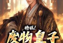 糟糕！废物皇子他觉醒了小说，糟糕！废物皇子他觉醒了章节在线阅读-书评酱