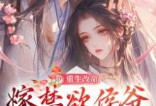 小说《重生改命,嫁禁欲侯爷享幸福人生》在线章节阅读-书评酱