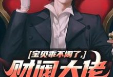 完结版《宝贝乖不闹了，财阀大佬日撩夜哄》章节阅读-书评酱