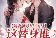 娇妻前男友回国？这替身谁爱当谁当小说阅读，娇妻前男友回国？这替身谁爱当谁当完结版-书评酱