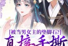 被当男女主的垫脚石？直接手撕剧本小说阅读，被当男女主的垫脚石？直接手撕剧本完结版-书评酱