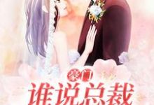 已完结小说《豪门:谁说总裁他不近女色》最新章节-书评酱
