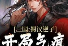 三国:蜀汉逆子,开局气疯诸葛亮李牧,三国:蜀汉逆子,开局气疯诸葛亮小说免费阅读-书评酱