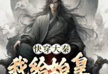 快穿大秦:我给始皇当左相章节免费在线阅读,秦牧完结版-书评酱
