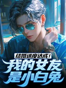 小说《结婚进度达成！我的女友是小白兔》章节免费阅读