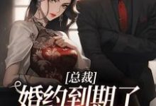 总裁，婚约到期了，麻烦请放手姜涵宁秦耀小说在线章节免费阅读-书评酱