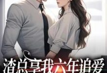 渣总享我六年追爱还心系绿茶叶溪周知珩小说完结版章节在线阅读-书评酱