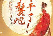 小说《被大奶奶当工具人?丫鬟她不干了!》在线章节阅读-书评酱