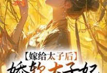 已完结小说《嫁给太子后,娇软太子妃藏起尖刀》章节在线阅读-书评酱