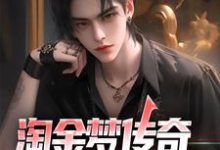 淘金梦传奇，从失业开始小说，淘金梦传奇，从失业开始陈峰-书评酱