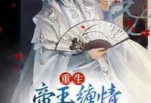 重生:帝王缠情,骄宠公子无边沈白景容华小说完结版章节在线阅读-书评酱