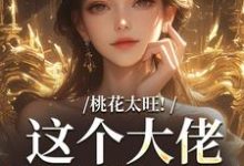 在线寻找桃花太旺!这个大佬借你挡一挡小说的无删减版本-书评酱