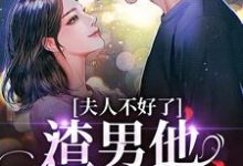 黎岁霍砚舟小说夫人不好了!渣男他要求爱章节免费阅读-书评酱