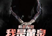 完结版《有怨报怨,我是黄泉摆渡人》章节阅读-书评酱