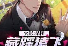 波风千叶小说火影:杀团藏踩猿飞,我无敌了在线阅读-书评酱