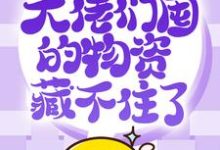 许安小说在线章节免费阅读(抢穿末日:大佬们囤的物资藏不住了无弹窗无删减)-书评酱