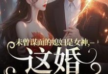 顾衍掣盛知夏小说未曾谋面的媳妇是女神,这婚不离了在线阅读章节-书评酱