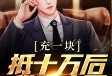 在线免费阅读充一块抵十万后，我赢麻了完整小说-书评酱