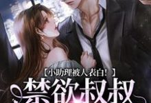 完结版《小助理被人表白！禁欲叔叔坐不住了》章节阅读-书评酱