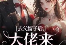 小说《去父留子后,大佬来抓我啦》在线章节阅读-书评酱