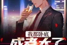 在线免费阅读我都卧底成老大了，还不收网？完整小说-书评酱