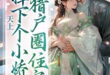 小说《天上掉下个小娇娇,猎户圈住宠》章节阅读-书评酱