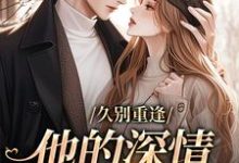 许雾时琛小说叫什么（久别重逢：他的深情天地可鉴免费阅读）-书评酱