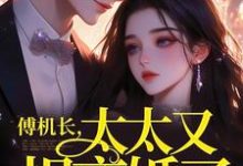 谁说高岭之花不好啃?这也太好啃了这本小说在哪里可以看?哪里有免费试读章节?-书评酱