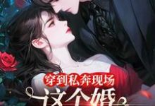 穿到私奔现场，这个婚离不了一点小说最新更新在哪里？免费在线看-书评酱