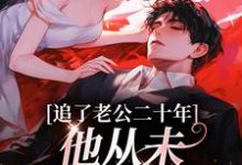 追了老公二十年,他从未认真对待我免费阅读,追了老公二十年,他从未认真对待我宋昔陆宴洲-书评酱