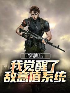 求穿越后，我觉醒了敌意值系统小说免费资源